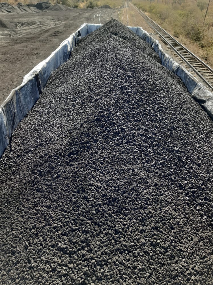 Coal Fines